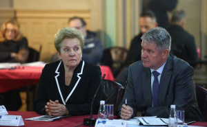 Foto: Dž. K. / Radiosarajevo.ba / Učestvovala i Marina Pendeš