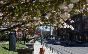 Foto: Dž. K. / Radiosarajevo.ba / Proljeće u Sarajevu