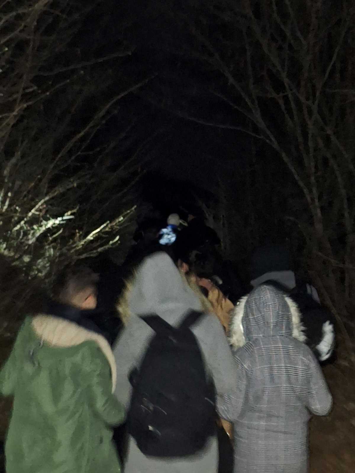 Spriječeno krijumčarenje 23 ljudi