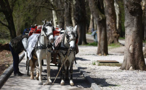 Foto: Dž.K./Radiosarajevo / Ugodan dan za šetnju Alejom na Ilidži