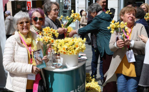 Foto: Dž. K. / Radiosarajevo.ba / Udruženje 'Renesansa' organiziralo tradicionalnu akciju 'Dani narcisa'