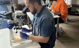 Foto: FENA / Adam Bešić