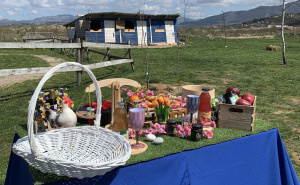 Foto: Zoo vrt "Bambi" / Mapa kulture i srednjovjekovna historija za najmlađe