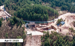 Foto: Aerial Tim / Curine njive