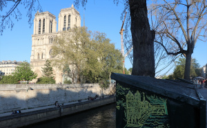 Foto: AA / Notre Dame, Pariz, Francuska