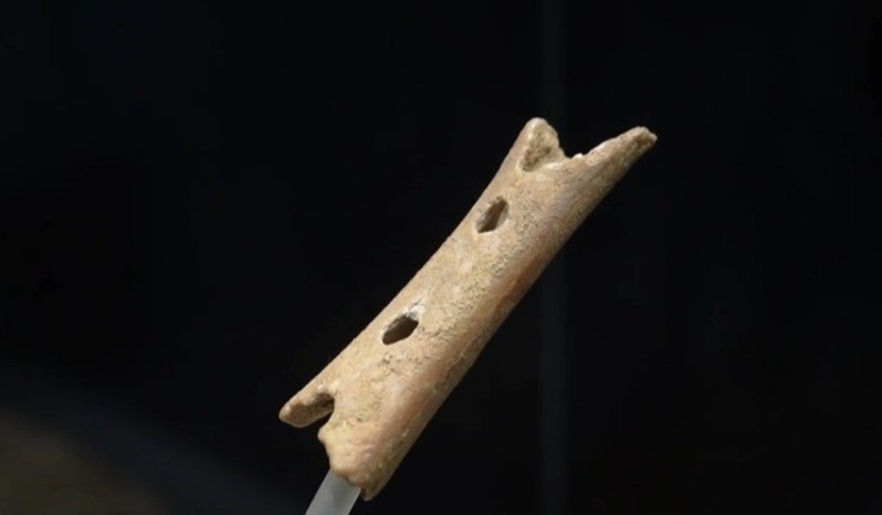 Šuplje kosti bile korištene kao instrumenti