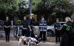 Foto: AA / Tihi protest Izraelaca u Tel Avivu zbog vladine politike izgladnjivanja stanovnika Gaze