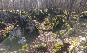Foto: Bassania / Pronađena neevidentirana gradina u Petrovićima