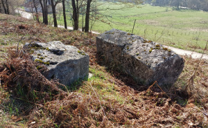 Foto: Bassania / Pronađena neevidentirana gradina u Petrovićima
