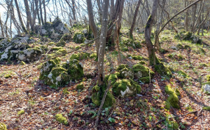 Foto: Bassania / Pronađena neevidentirana gradina u Petrovićima