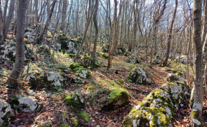 Foto: Bassania / Pronađena neevidentirana gradina u Petrovićima