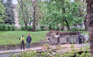 FOTO: Facebook / Drvo u Kranjčevićevoj