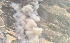 Foto: Anadolija / Požari bjesne Izraelom