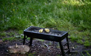 Foto: A. K. / Radiosarajevo.ba / Rimski most, prvi maj, praznik rada, izletište