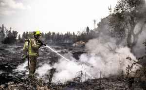 Foto: AA / Požari između Tel Aviva i Jerusalema