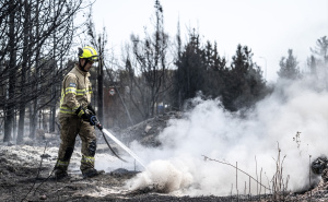 Foto: AA / Požari između Tel Aviva i Jerusalema