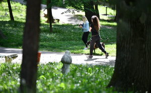 Foto: A. K. / Radiosarajevo.ba / Zelenilo Velikog parka u Sarajevu