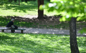 Foto: A. K. / Radiosarajevo.ba / Zelenilo Velikog parka u Sarajevu