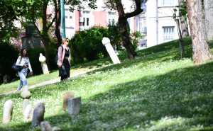 Foto: A. K. / Radiosarajevo.ba / Zelenilo Velikog parka u Sarajevu