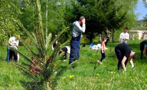 Foto: Kanton Sarajevo / Sađenje stabala u Memorijalnoj šumi sjećanja