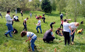Foto: Kanton Sarajevo / Sađenje stabala u Memorijalnoj šumi sjećanja
