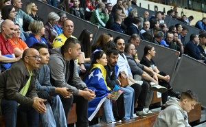 Foto: N. G. / Radiosarajevo.ba / Bosna i Hercegovina - Island
