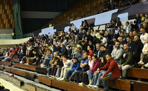 Foto: N. G. / Radiosarajevo.ba / Bosna i Hercegovina - Island