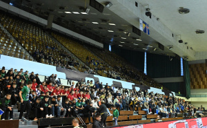 Foto: N. G. / Radiosarajevo.ba / Bosna i Hercegovina - Island