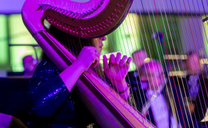 Foto: Velija Hasanbegović / Kultura na ulice 2025!