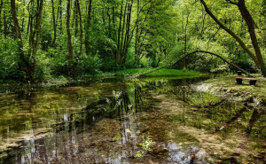 Foto: AA / Vrelo Bosne