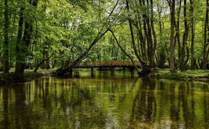 Foto: AA / Vrelo Bosne