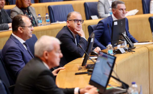 Foto: Dž. K. / Radiosarajevo.ba / Prekinuta sjednica Doma naroda PS BiH