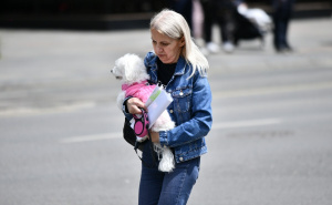 Foto: A. K. / Radiosarajevo.ba / Šetnja Sarajevom