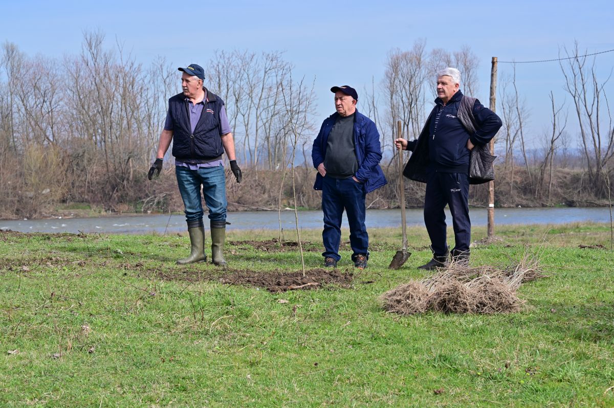 Sadnja drveća - BeeAlive 2