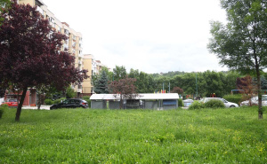Foto: Dž. K. / Radiosarajevo.ba / Na Dobrinji je zabilježen najveći broj slučajeva leptospiroze