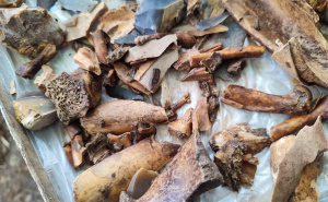 FOTO: BN / Ružina pećina