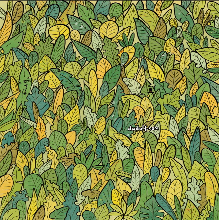 Gdje se nalaze kameleoni?