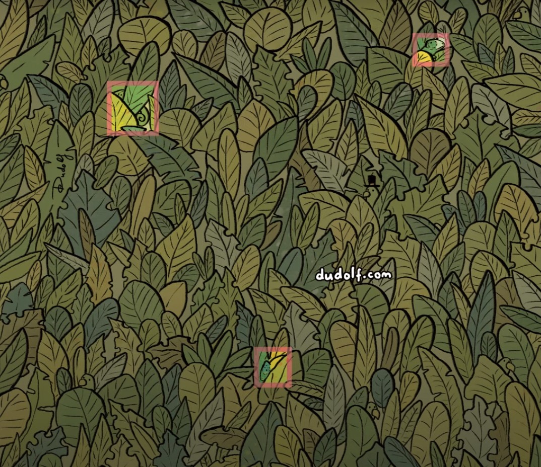 Gdje se nalaze kameleoni?