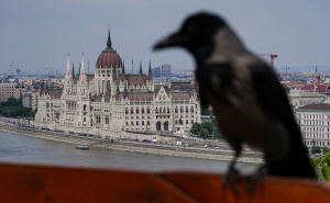 Foto: AA / Budimpešta