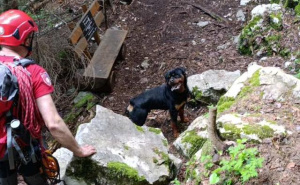 Foto: GSS / Pas spašen na Trebeviću