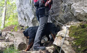 Foto: GSS / Pas spašen na Trebeviću