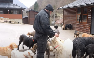Foto: Screenshot / Bruno Jelović i ranč za pse u BiH