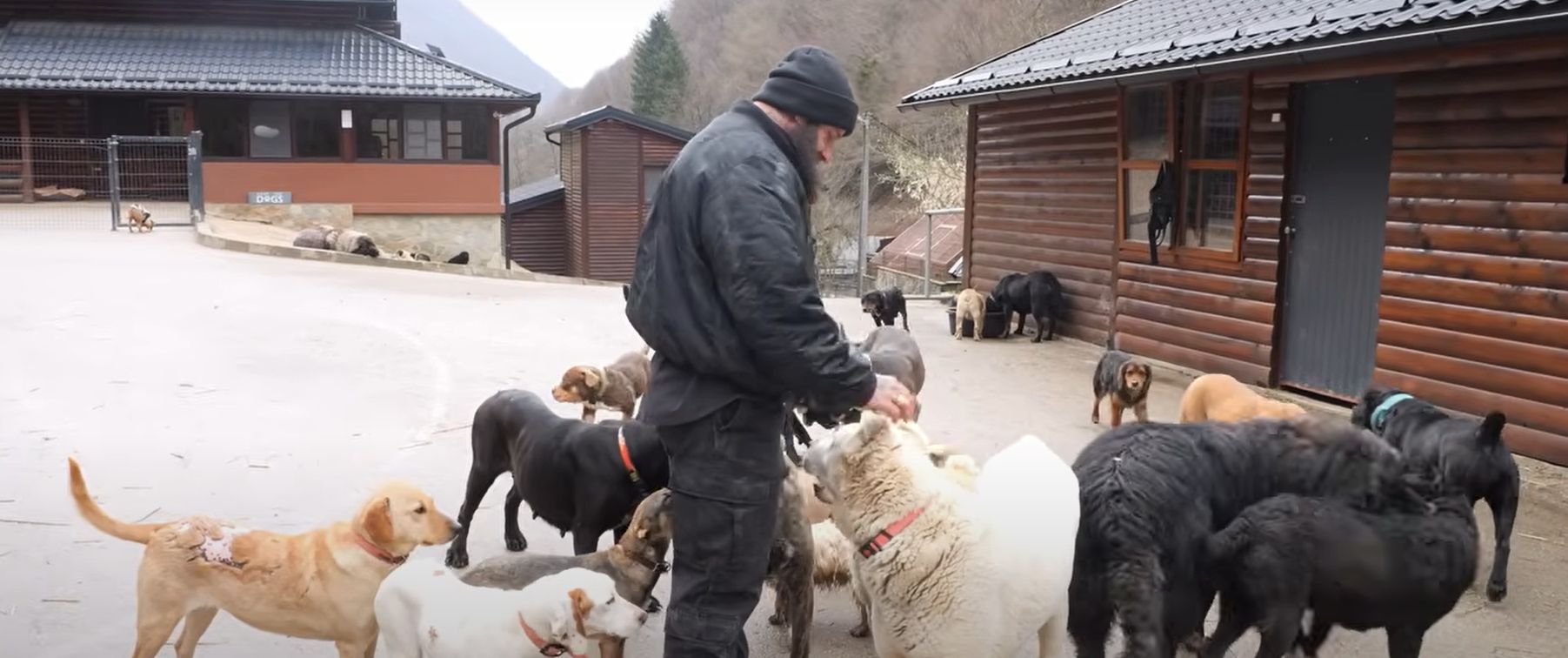 Bruno Jelović i ranč za pse u BiH