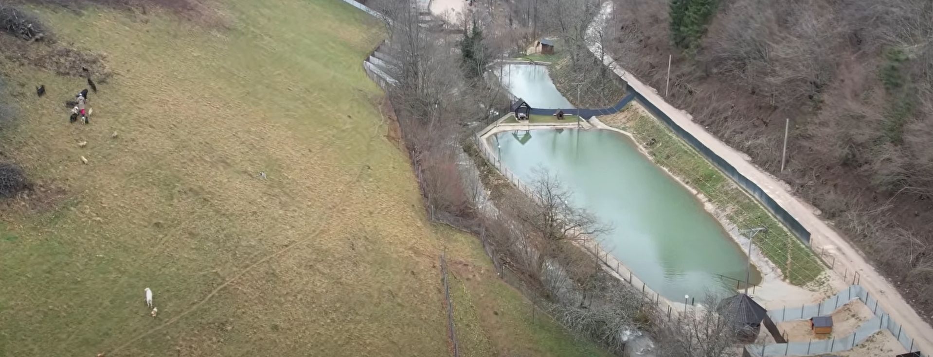 Bruno Jelović i ranč za pse u BiH