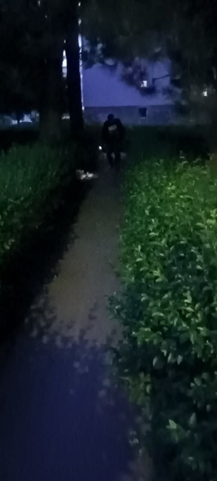 Brza intervencija KJKP Rad