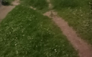 Foto: Ustupljene fotografije / Brza intervencija KJKP Rad