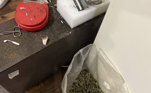 Foto: MUP KS / Zaplijenjena droga