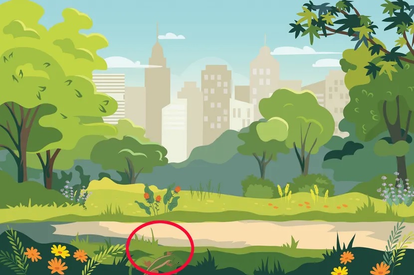 Rješenje skrivalice