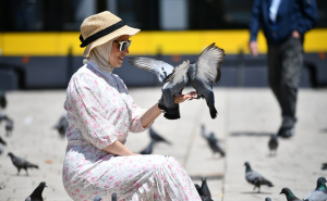 Foto: A. K. / Radiosarajevo.ba / Baščaršija puna ljudi, ali svi traže hlad