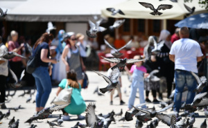 Foto: A. K. / Radiosarajevo.ba / Baščaršija puna ljudi, ali svi traže hlad